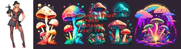 MDMA Белокуриха