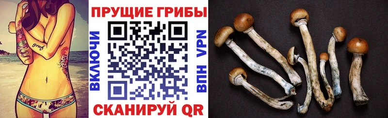 ОМГ ОМГ ССЫЛКА  Городовиковск  Псилоцибиновые грибы MAGIC MUSHROOMS 